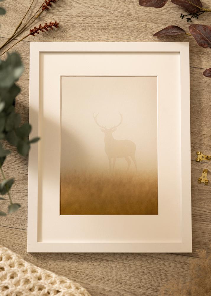 Kehys Deco Akryylilasi Valkoinen 60x80 cm