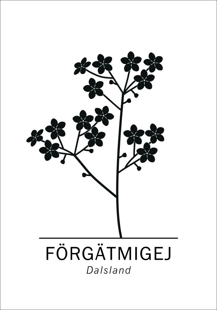 Förgätmigej - Dalsland Juliste