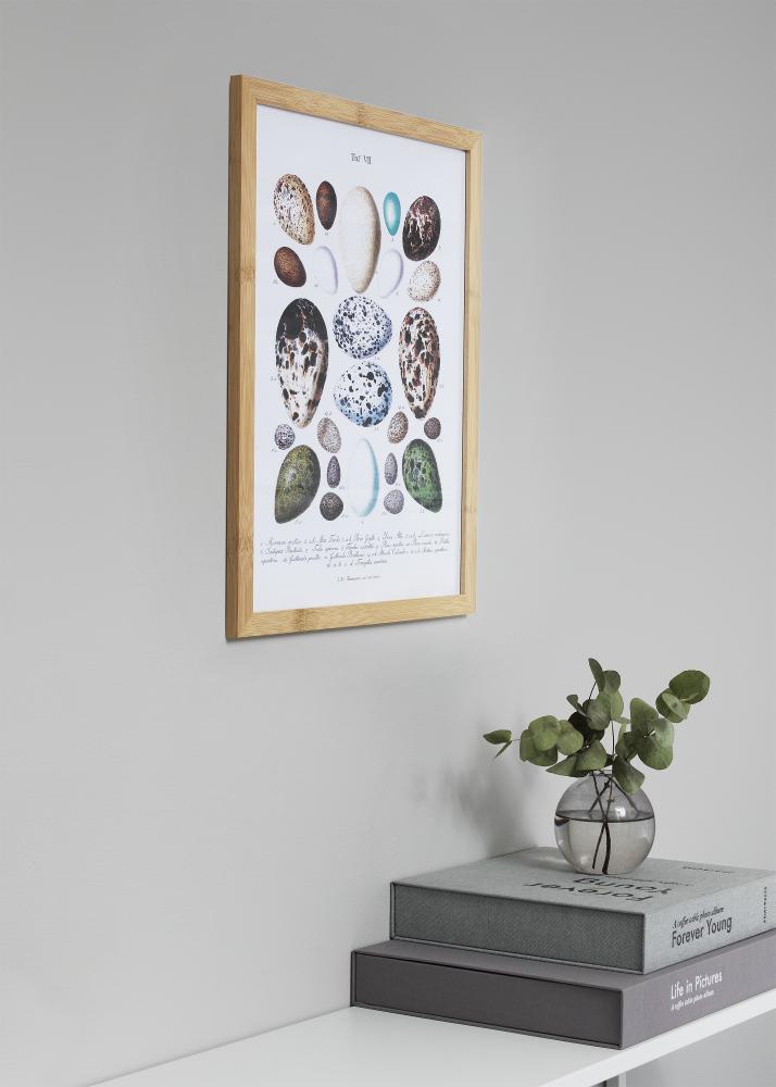 Kehys Hoei Bambu 70x100 cm - Paspatuuri Musta 24x36 tuumaa