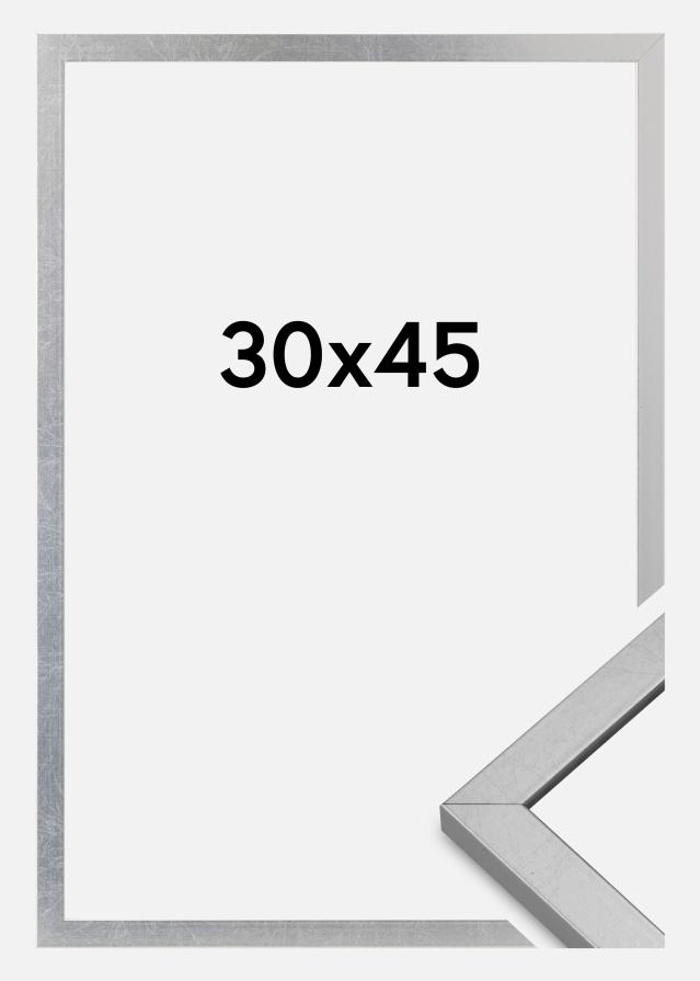 Kehys Minerva Akryylilasi Hopea 30x45 cm