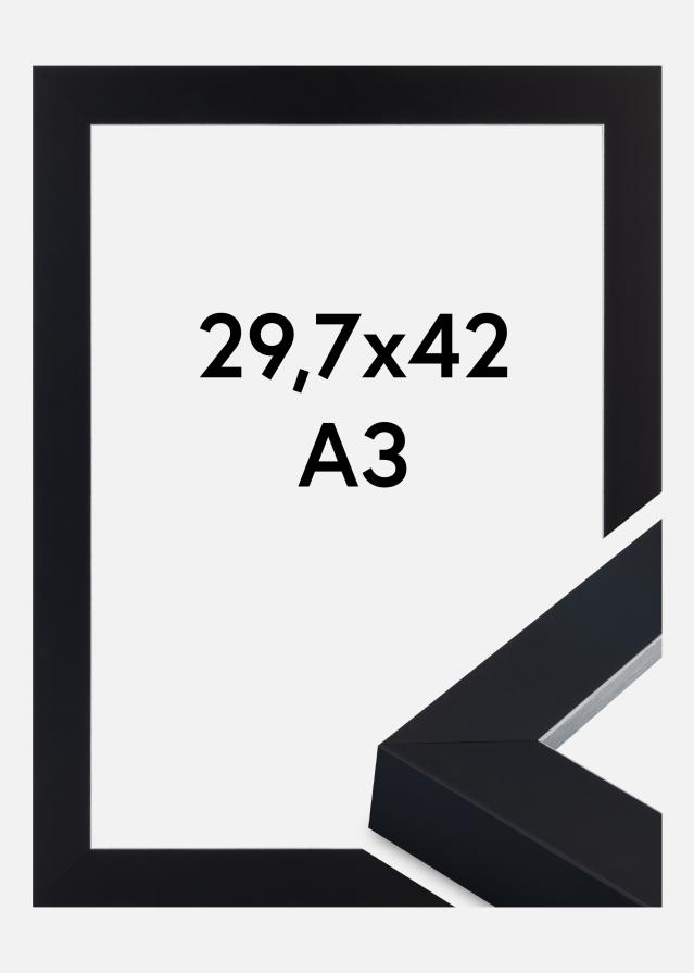 Kehys Sussex Akryylilasi Musta/Hopea 29,7x42 cm (A3)