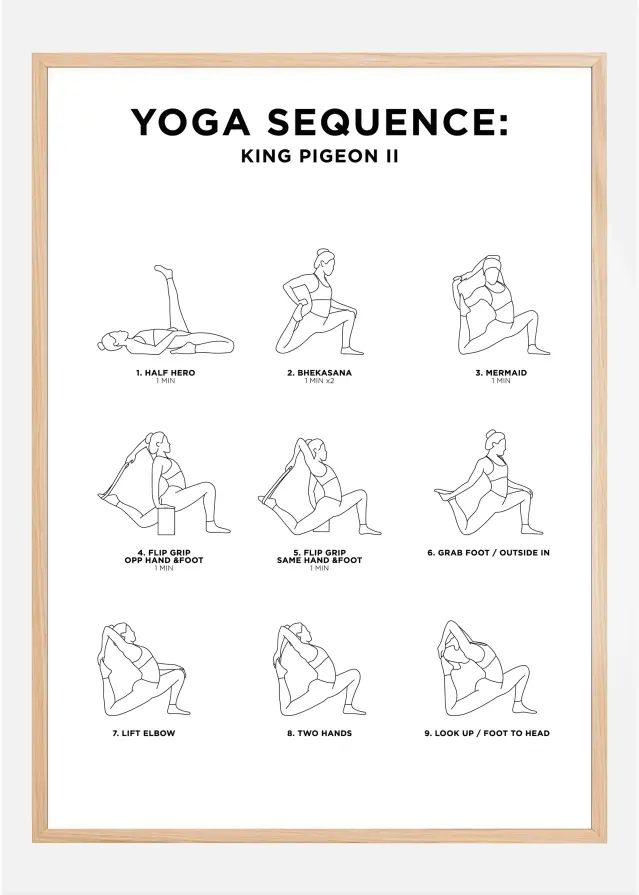 King Pigeon II - White Juliste