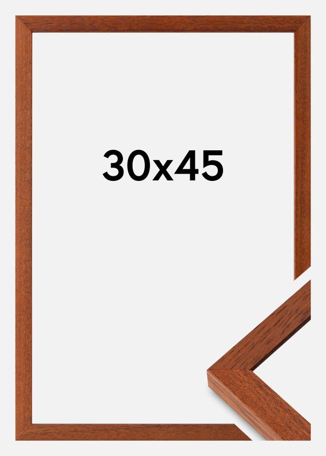 Kehys Hermes Akryylilasi Kirsikka 30x45 cm