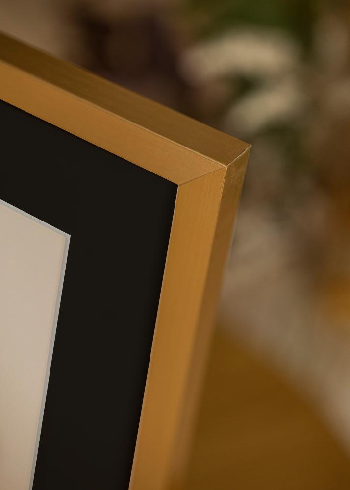 Kehys Selection Kulta 70x100 cm - Passepartout Musta 62x93 cm