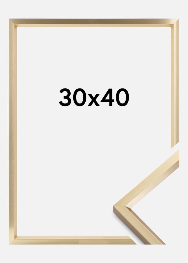 Kehys Steel Style Kullanvärinen 30x40 cm