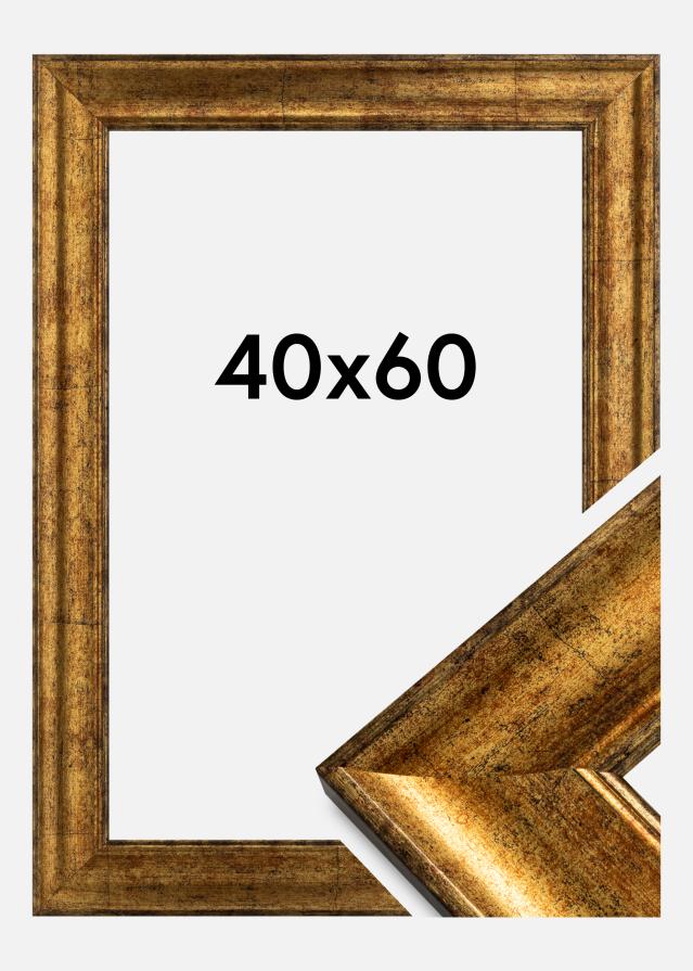 Kehys Saltsjöbaden Kullanvärinen 40x60 cm