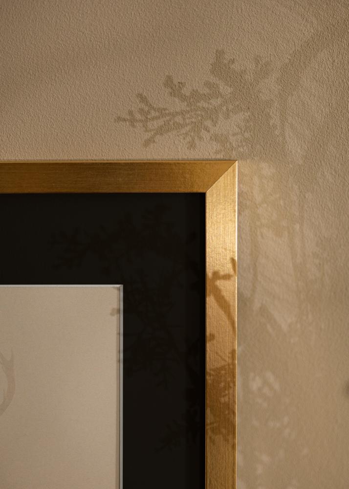 Kehys Selection Kulta 70x100 cm - Passepartout Musta 62x93 cm