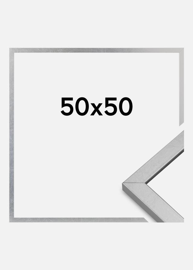 Kehys Minerva Akryylilasi Hopea 50x50 cm