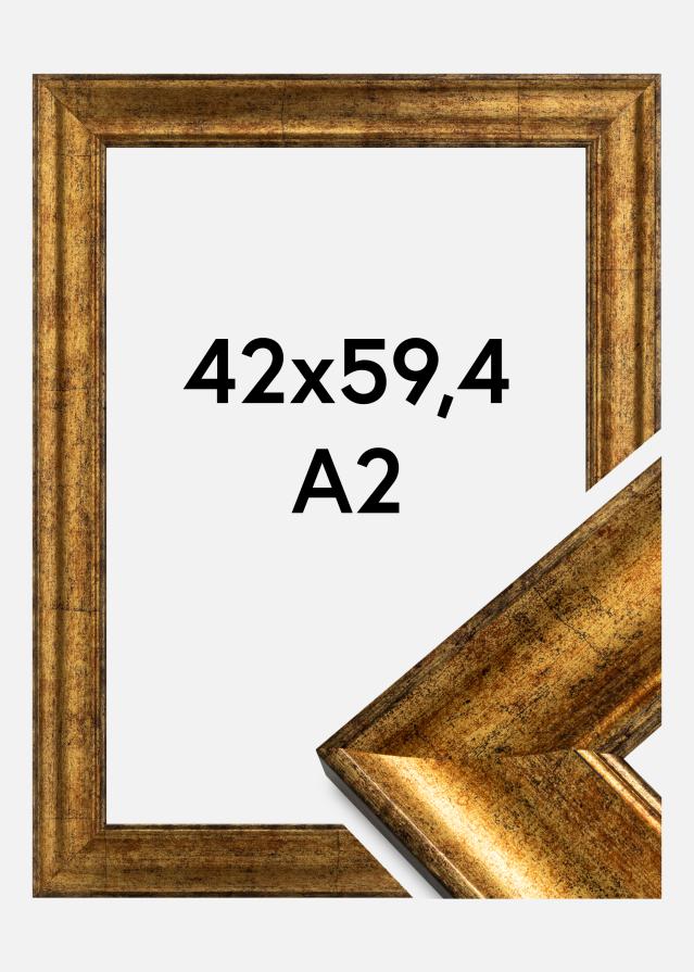 Kehys Saltsjöbaden Kullanvärinen 42x59,4 cm (A2)