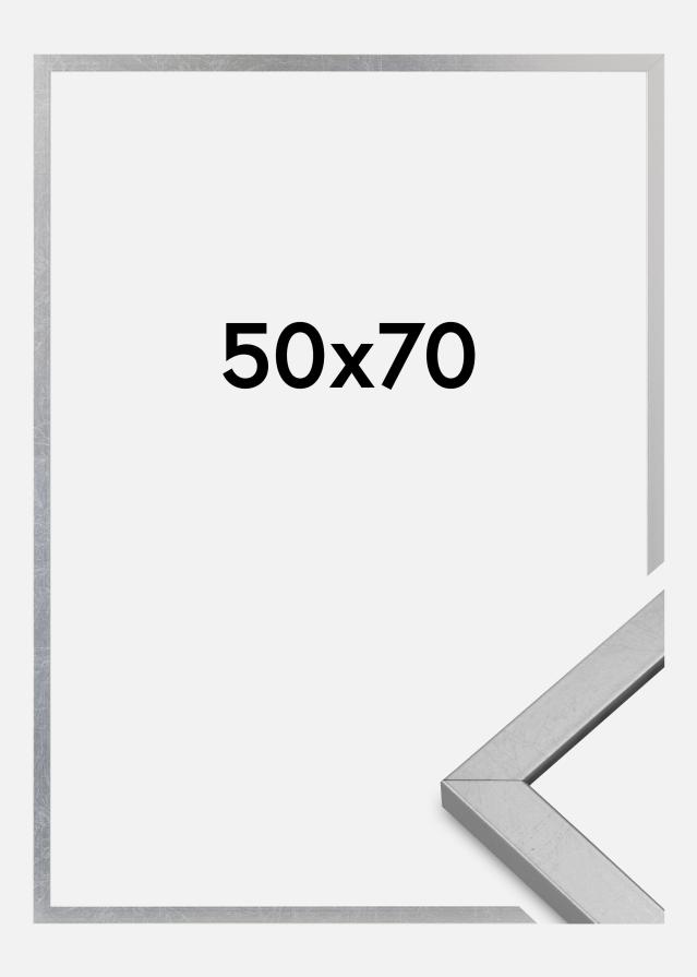 Kehys Minerva Akryylilasi Hopea 50x70 cm