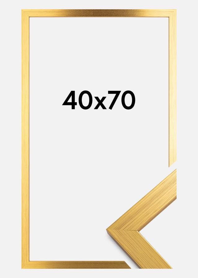 Kehys Gold Wood Akryylilasi 40x70 cm