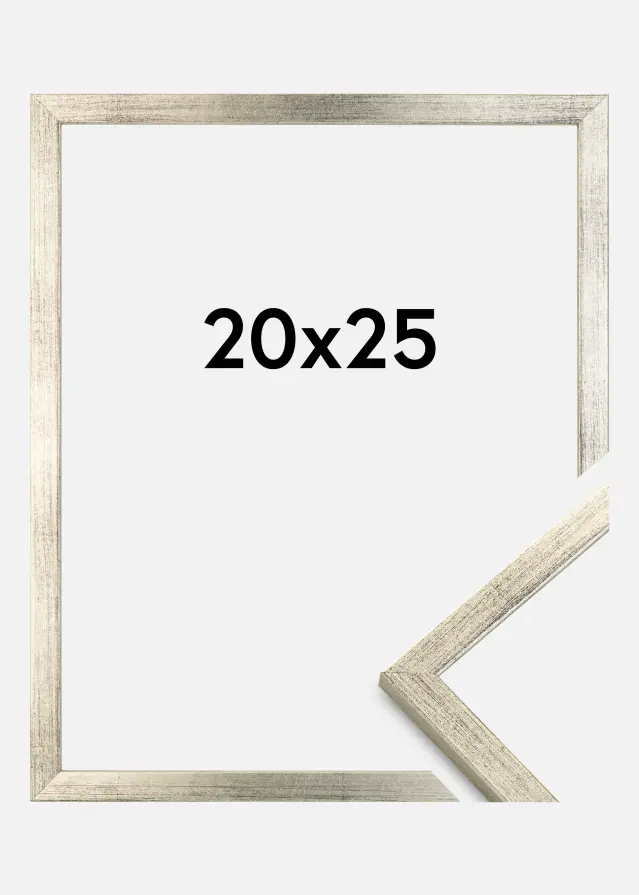 Kehys Galant Hopeanvärinen 20x25 cm