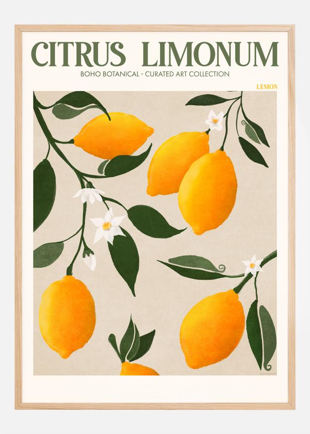 Boho Citrus Limonum Juliste