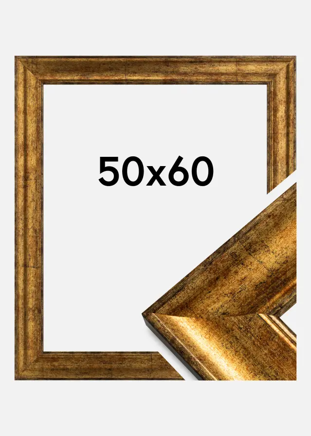 Kehys Saltsjöbaden Kullanvärinen 50x60 cm