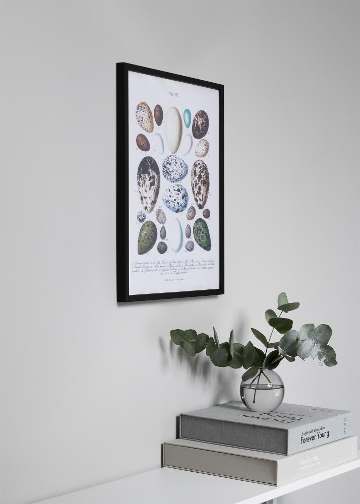 Kehys Oslo Musta 30x40 cm - Passepartout Musta 18x27 cm