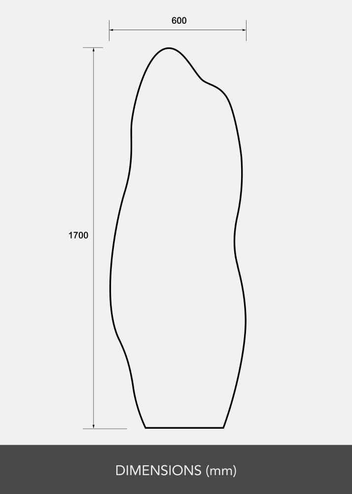 Peili Echo 60x170 cm