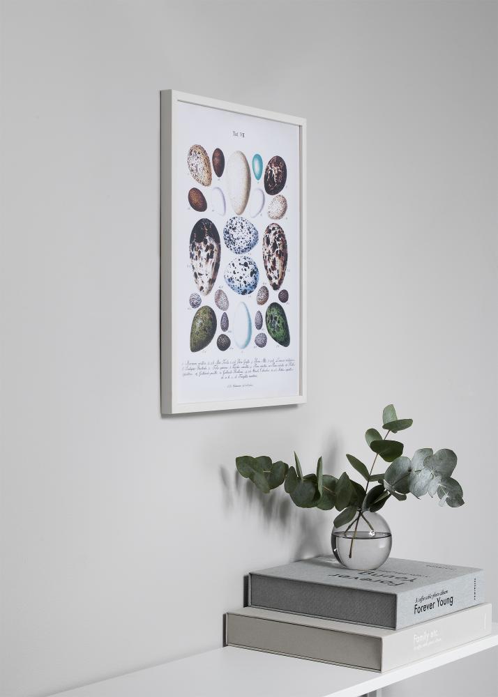 Kehys Oslo Valkoinen 60x60 cm - Passepartout Musta 50x50 cm