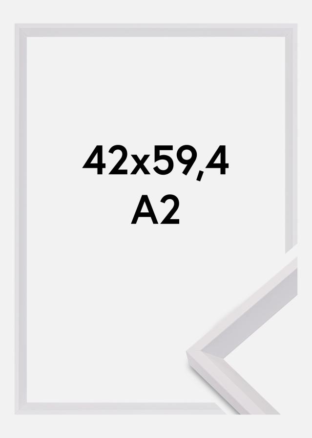 Kehys Globe Akryylilasi Valkoinen 42x59,4 cm (A2)