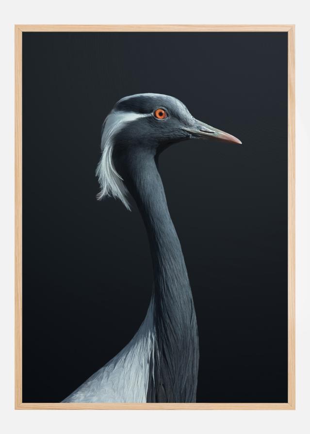 La Demoiselle Juliste