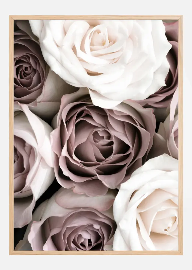 Roses Juliste