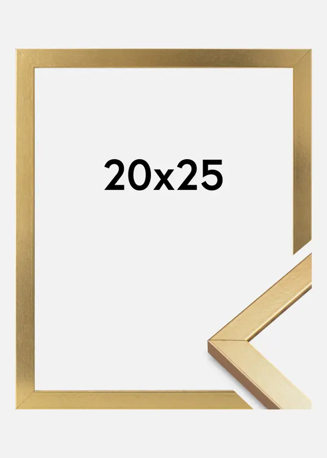 Kehys Minerva Akryylilasi Kulta 20x25 cm