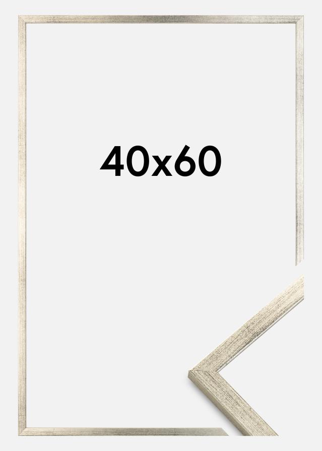 Kehys Galant Hopeanvärinen 40x60 cm