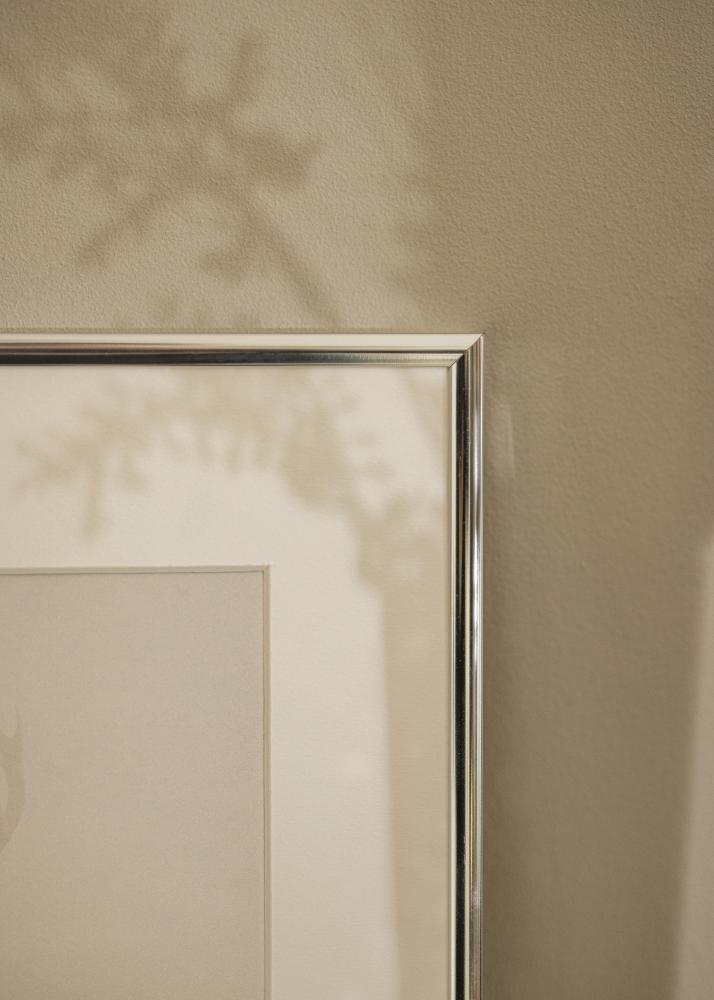 Kehys Alumiini Kiiltävä Hopea 30x40 cm - Passepartout Valkoinen 20x30 cm