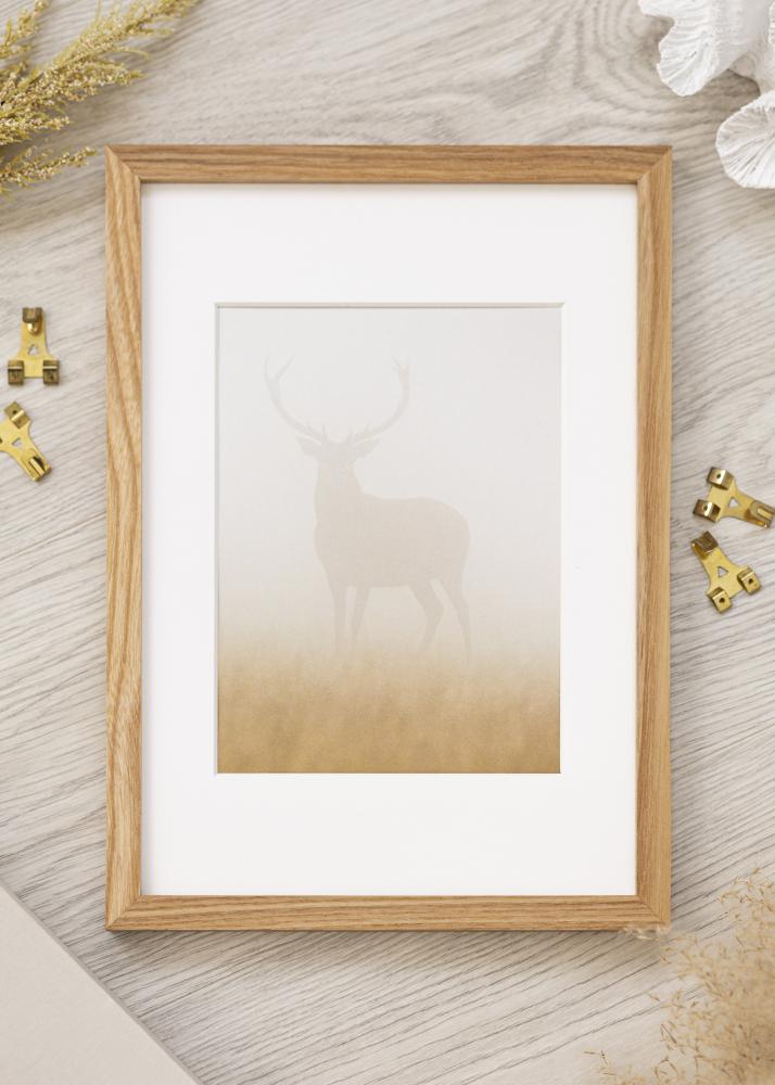 Kehys Täystammi Akryylilasi 21x29,7 cm (A4)