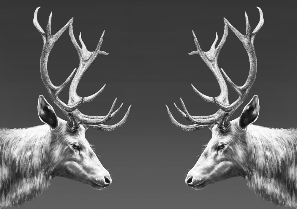 REINDEER DOUBLE Juliste