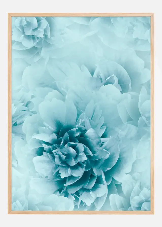 Turquoise flowers Juliste