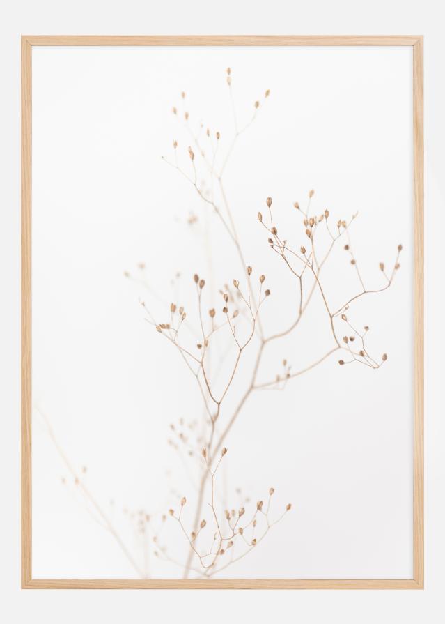 Beige straws Juliste