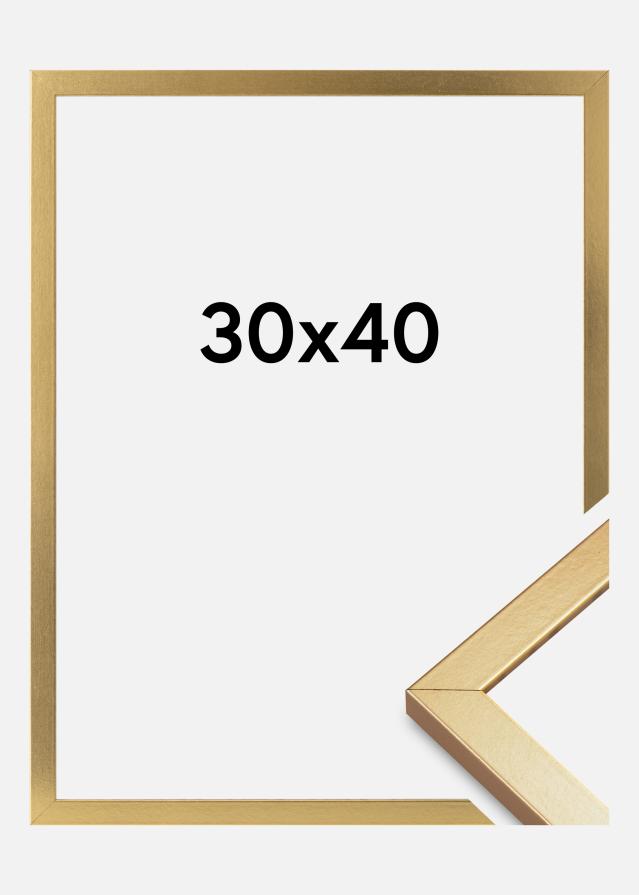Kehys Minerva Akryylilasi Kulta 30x40 cm