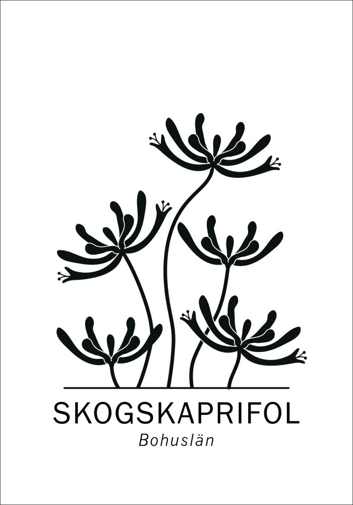 Skogskaprifol - Bohuslän Juliste