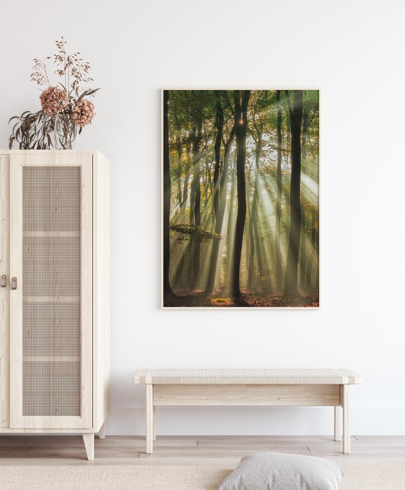 Sunny Start To The Day Juliste