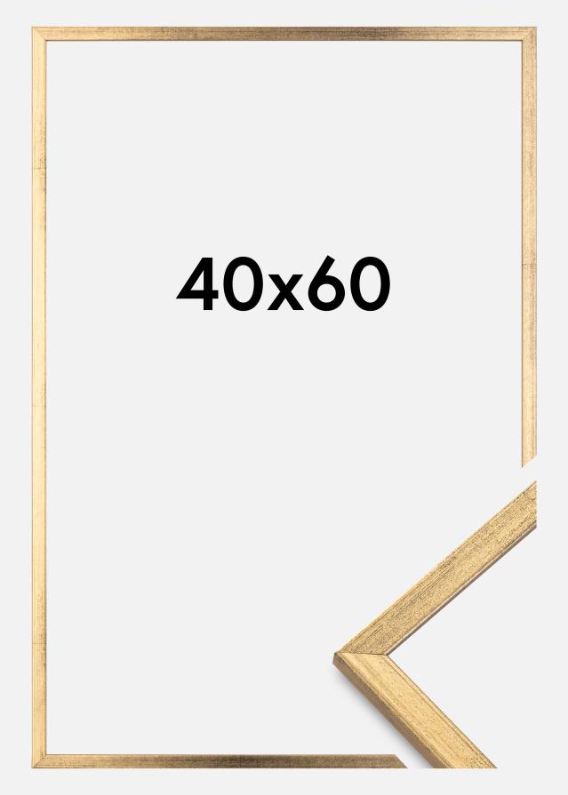 Kehys Galant Kullanvärinen 40x60 cm