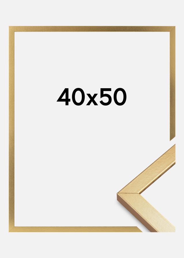 Kehys Minerva Akryylilasi Kulta 40x50 cm