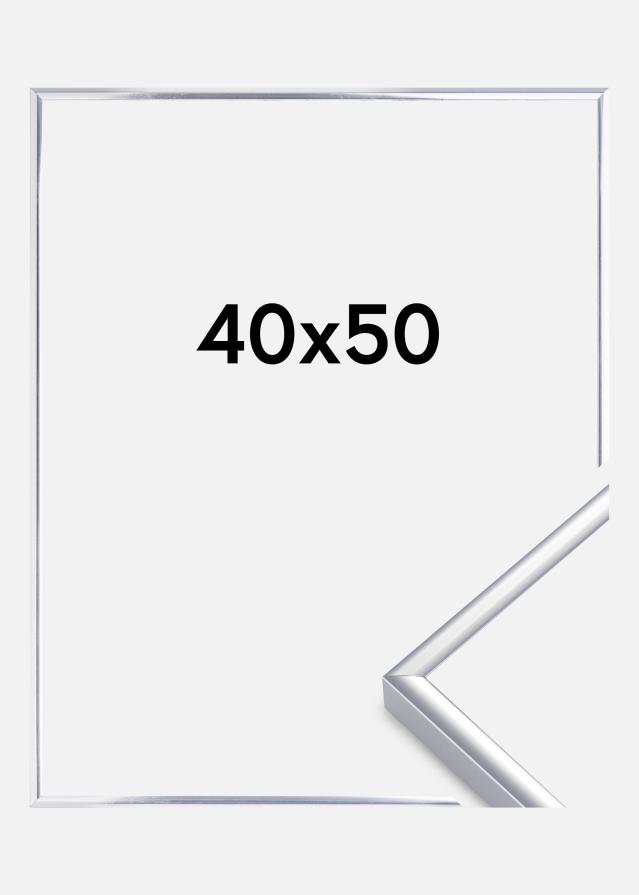 Kehys Aluminium Akryylilasi Kiiltävä Hopeanvärinen 40x50 cm