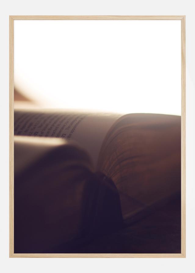 Book Of Light Juliste