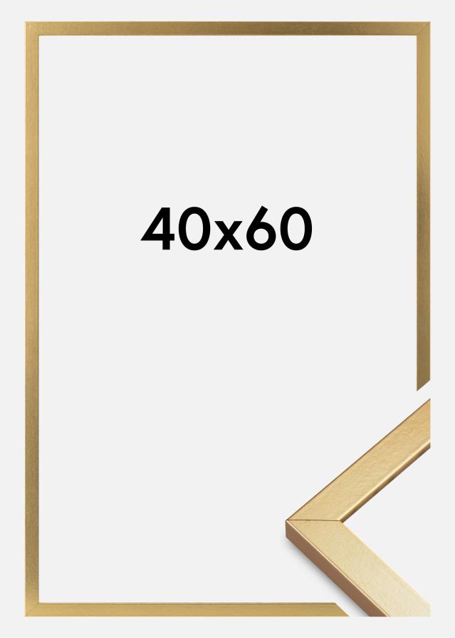 Kehys Minerva Akryylilasi Kulta 40x60 cm