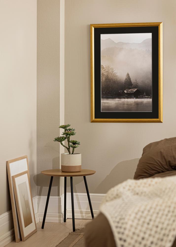 Kehys Västkusten Kulta 32x45 cm - Paspatuuri Musta 25x30 cm