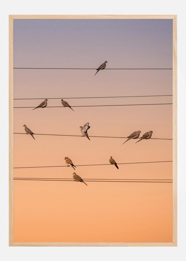 Music Of Light Juliste