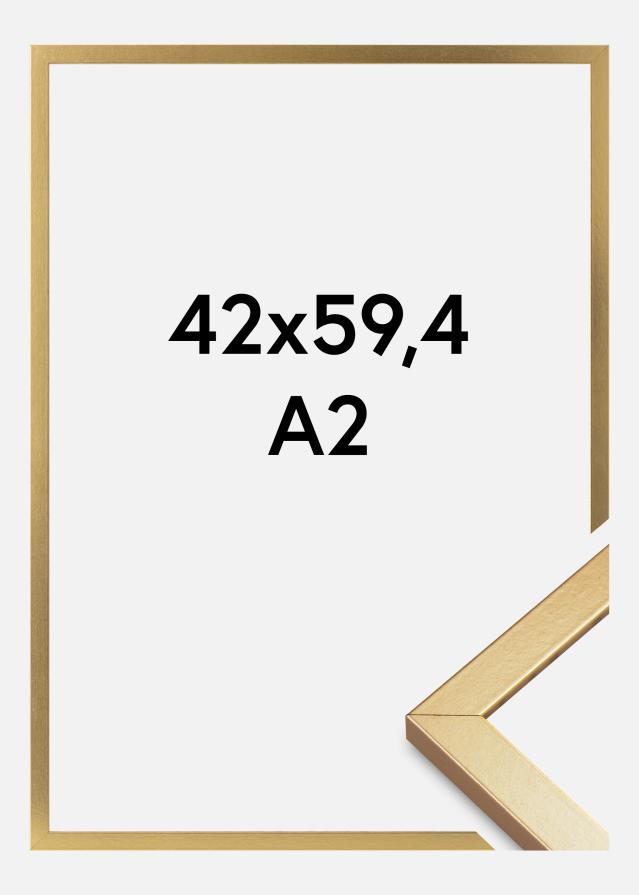 Kehys Minerva Akryylilasi Kulta 42x59,4 cm (A2)
