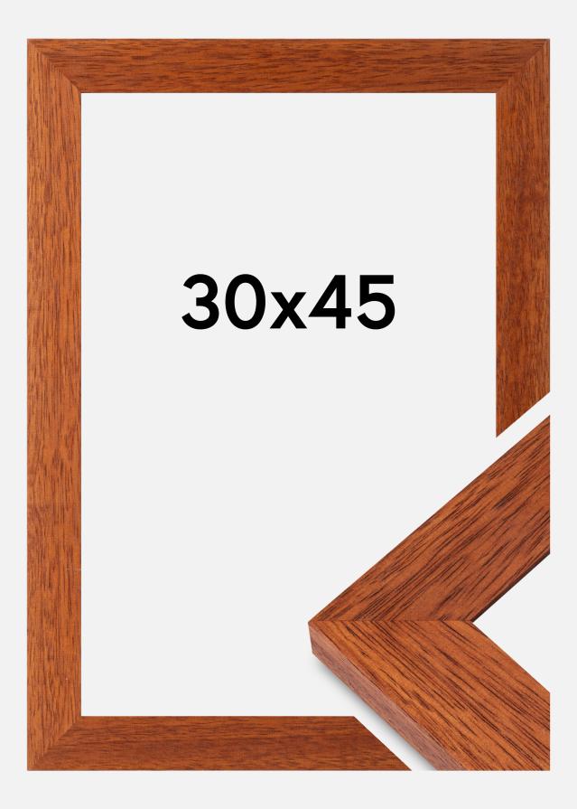 Kehys Juno Akryylilasi Kirsikka 30x45 cm