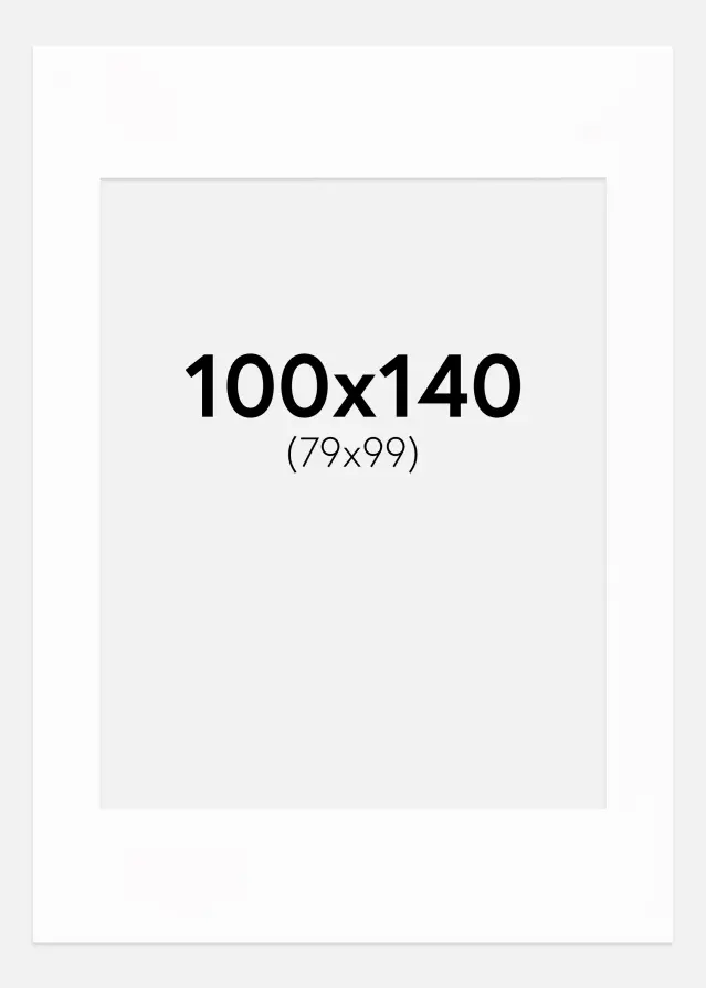 Paspatuuri Canson Valkoinen (Valkoinen keskus) 100x140 cm (79x119)