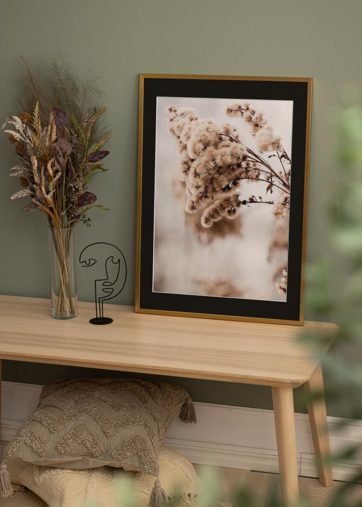 Kehys Edsbyn Kulta 30x40 cm - Paspatuuri Musta 8x12 tuumaa