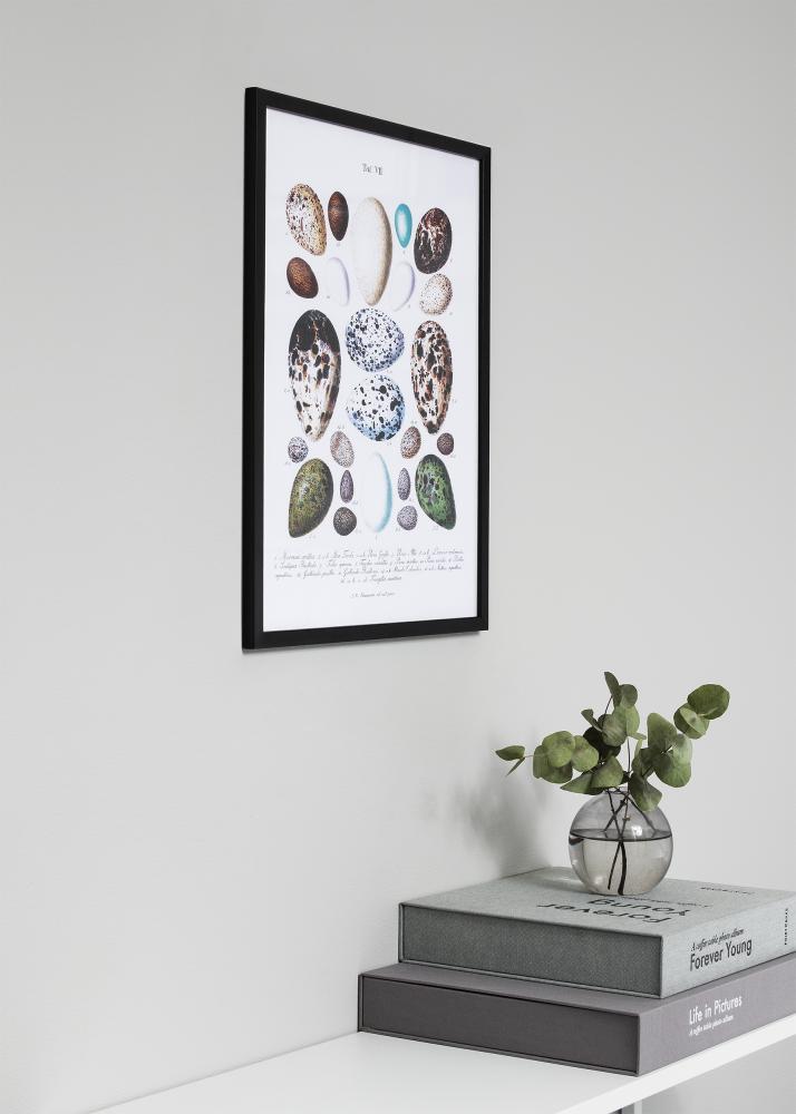 Kehys Frame Black 29,7x42 cm (A3)