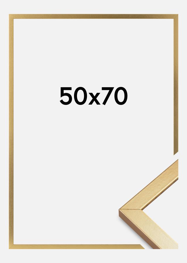 Kehys Minerva Akryylilasi Kulta 50x70 cm