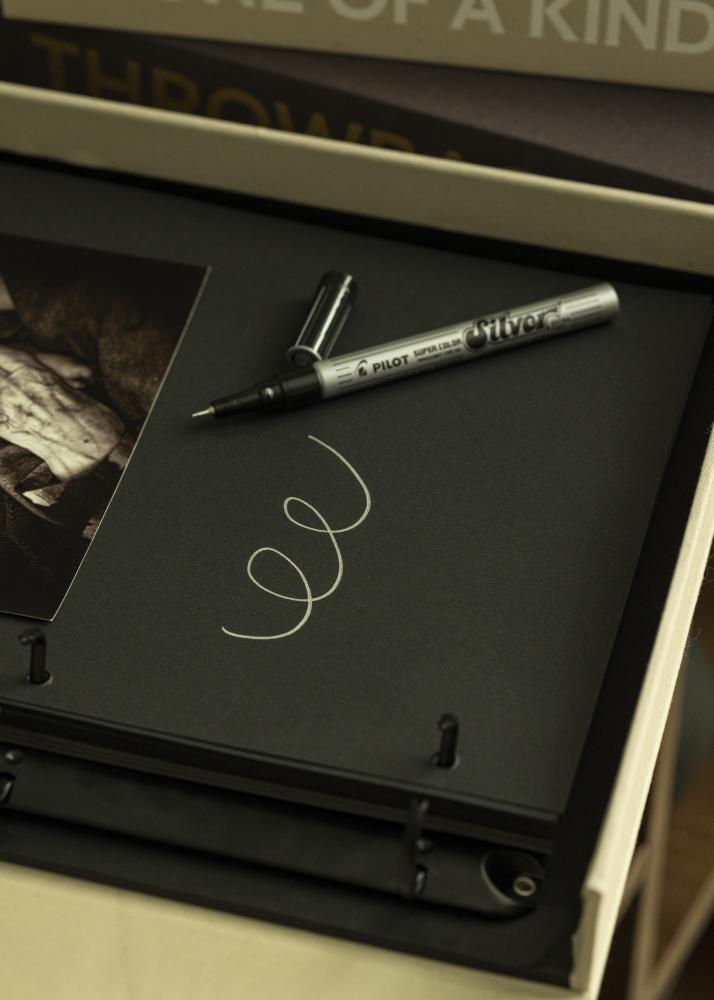 Pilot Albumitussi Hopeanvärinen