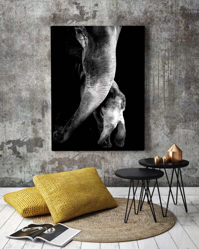 LO Art Design - Fragile