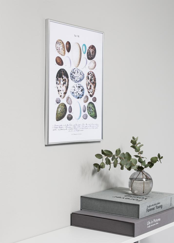 Kehys Can-Can Hopeanvärinen 40x60 cm